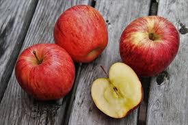  В Україні вивели стійкі до хвороб сорти яблук