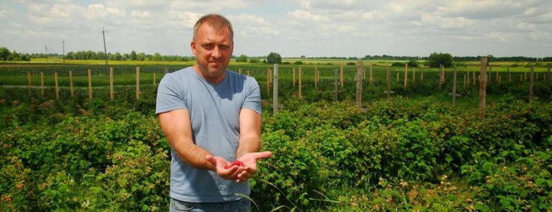  За сім років кількість фермерів в Україні зменшилась на 10 тисяч