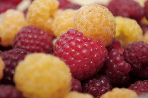  Переработка малины в Украине: цены на сырье бьют рекорды