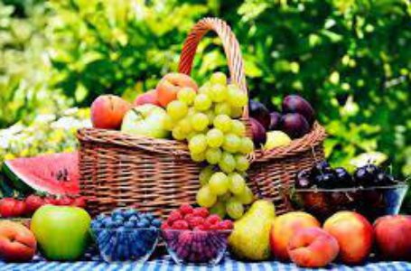 УПОА презентує сучасну систему управління експортними продажами фруктів і ягід