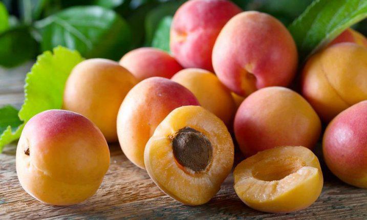  Украинские фермеры недовольны итогами нынешнего сезона абрикосов