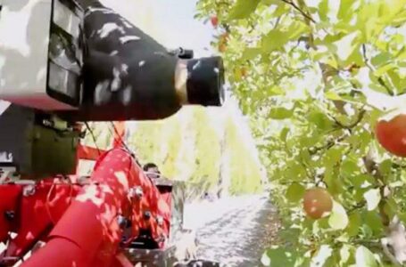 В США розробили автономного робота для збору яблук