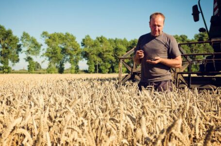 До 150 млн гривень в одні руки: Уряд обмежив держдопомогу фермерам