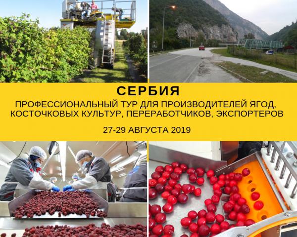 ООО ФРУКТОВЫЙ ПРОЕКТ организовывает профессиональный тур для производителей ягодных и косточковых культур, переработчиков, экспортеров в Сербию