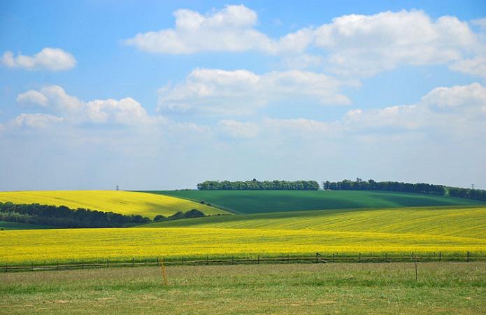  В Україні запустили сервіс для аудиту земельних ділянок