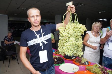Виноградарі представили свої досягнення на конференції “Золоте гроно Уркаїни”