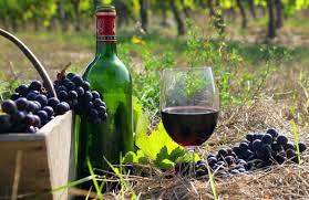  Українські виноробні компанії нарощують експорт продукції