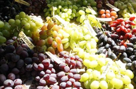 Виставка-конкурс Виноградний калейдоскоп на Одещині: оголошено переможців