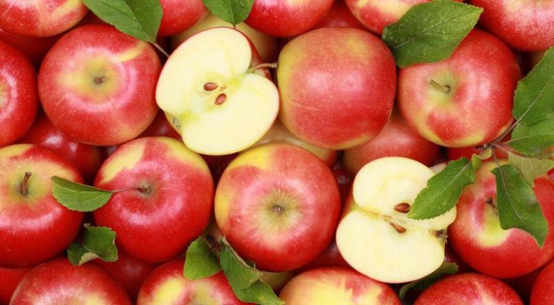  Запрет на поставки яблока, груши и томатов из Украины в Евросоюз вступил в силу с 1 сентября