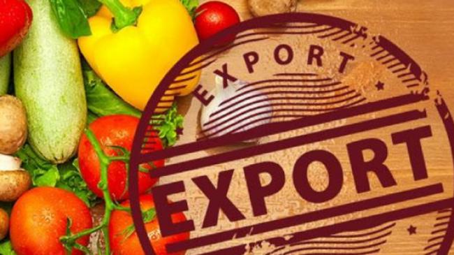  Импорт украинских яблок, груш и тепличных овощей в ЕС разблокирован с 5 сентября