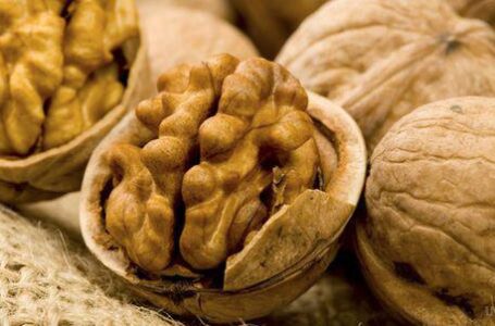 Україна зменшить експорт волоських горіхів