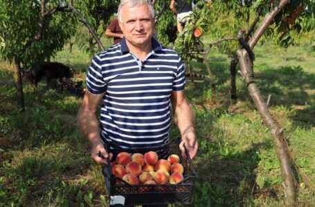 Аграрний комітет збільшив кількість підкомітетів до 8 і призначив усіх голів