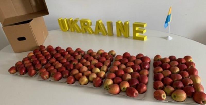  Українська компанія розпочинає експорт яблук до Африки