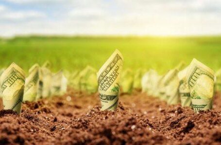 На земельному ринку громади не зможуть виставляти лоти, які перевищують 20 га