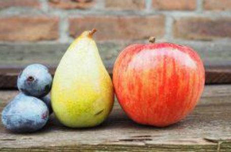 Українські садівники програють конкуренцію на міжнародних ринках