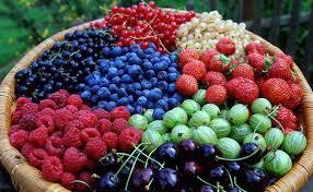  Экспорт украинской плодово-ягодной продукции вырос на 10%