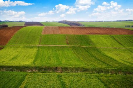 Як формуватиметься ціна землі після відкриття ринку