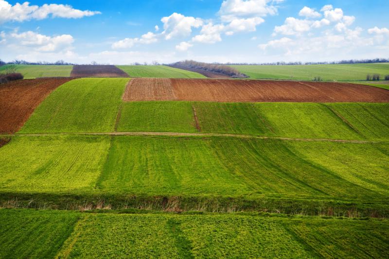  Як формуватиметься ціна землі після відкриття ринку