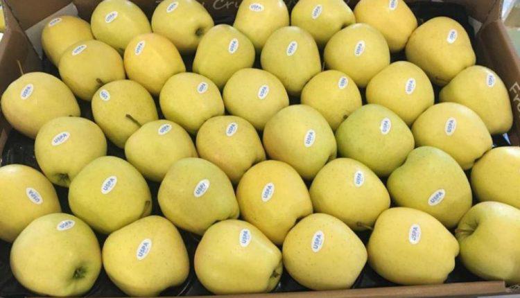  Перша партія українських яблук нового врожаю відправилась до Дубаю