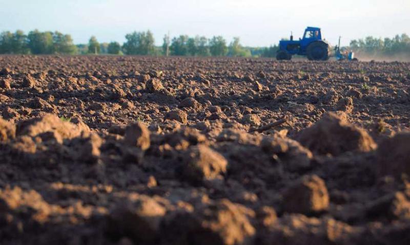  Эксперт назвал области, где самые пораженные вирусами почвы