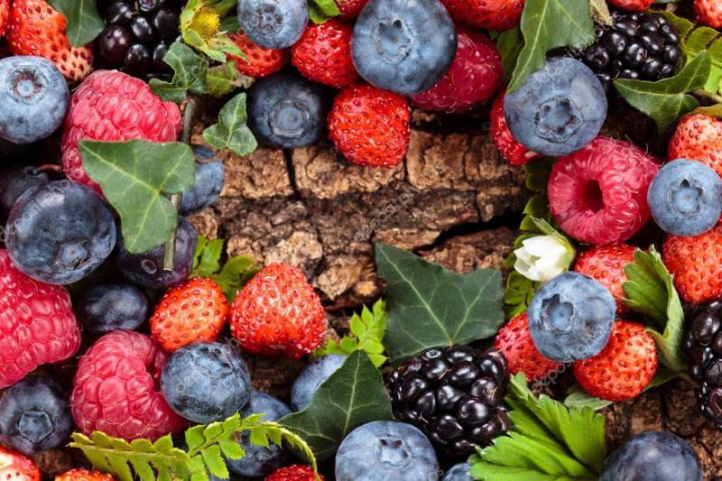  Молдавские производители ягод опасаются ухудшения фитосанитарной ситуации из-за теплой зимы