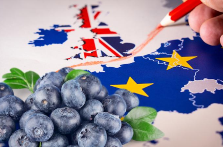 Brexit ослабит позиции конкурентов Украины на британском рынке ягод
