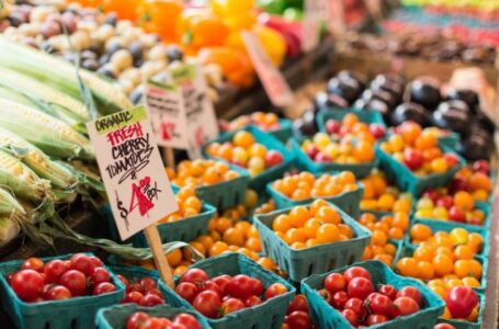 Харчові розчини для покриття овочів та фруктів мають зменшити відходи та замінити пластикову упаковку