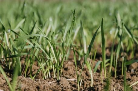 В Україні триває незворотний процес зміни клімату