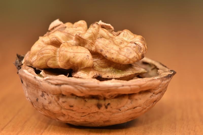  Експерти прогнозують рекордний обсяг експорту горіхів з України