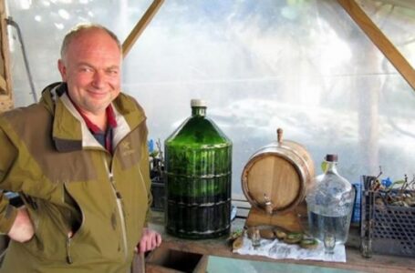 Віскі з ківі: досвід селекціонера із Закарпаття