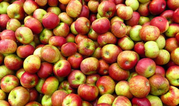 У Польщі критично зменшуються запаси яблук