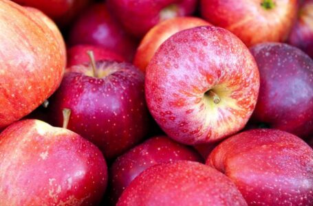 USPA Fruit збільшила продажі яблук в Африці