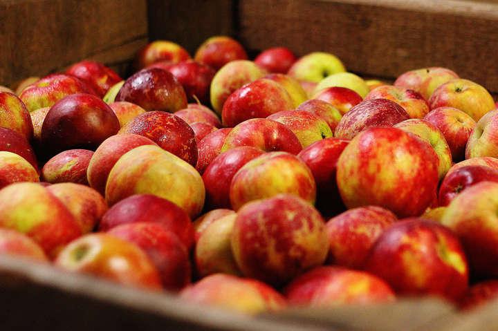  Урожай яблок в Грузии в этом году будет выше, цены – ниже