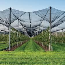  Захист урожаю, рослин та інвестицій садівника – як працює протиградова сітка