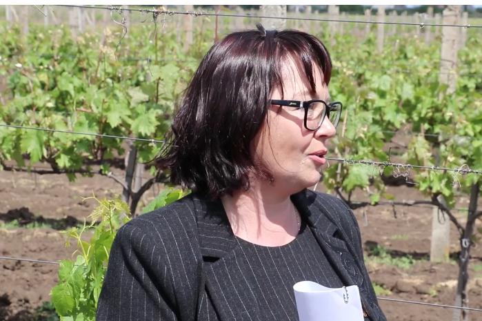  Ірина Ковальова, директор Інституту Таїрова: Ми продовожуватимемо працювати і постараємось залишатись флагманом української виноградарської науки