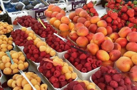 Після завершення карантину в Україні зросте виробництво органічної продукції