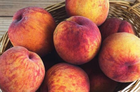 Урожай персика в Грузии в 2020 году резко вырастет