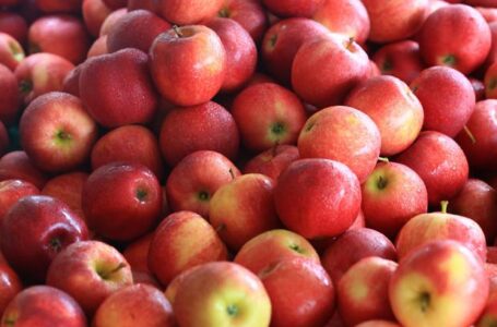 Цены на яблоки в Польше достигли исторического максимума
