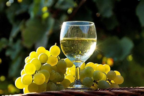  Вчені заявили про користь білого вина для легенів