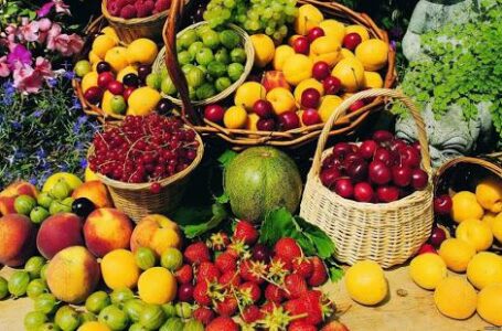 Названы самые рентабельные культуры для украинских фермеров