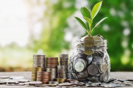 Аграриям готовят новую форму заявления о включении в реестр получателей дотаций