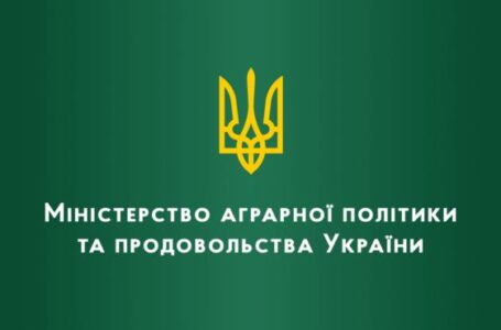 В уряді розповіли, чи є кандидатури на посаду міністра агрополітики