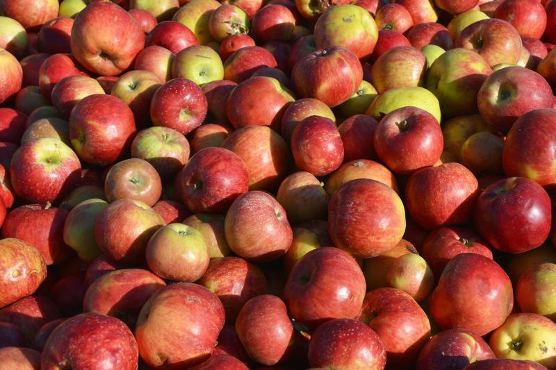  Ціни на українські яблука цьогоріч б`ють рекорд