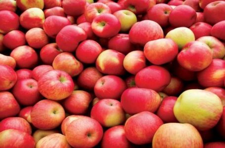 В УПОА прогнозируют рост экспорта украинских яблок