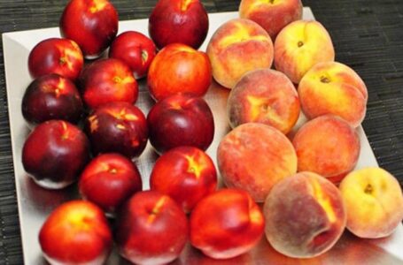 Урожай персиков и нектаринов в ЕС упал на 15%
