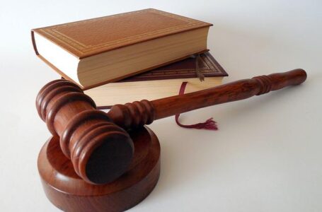 Українські фермерські господарства отримали майже 113 тис. грн державної підтримки впродовж 2020 року