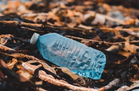 Американські фермери вирощуватимуть біопластик