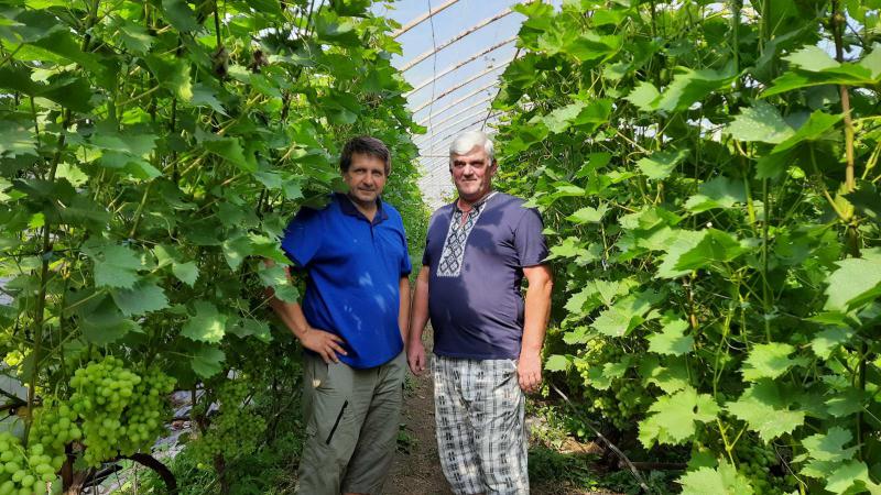  Роман Даниляк, «Галицьке гроно»: «Ми не просто вирощуємо виноград і виготовляємо вина, ми популяризуємо вино та його споживання!»