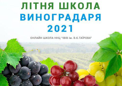  На базі Навчально-наукового центру «ІВіВ ім. В.Є. Таїрова» пройде Літня Школа Виноградаря 2021