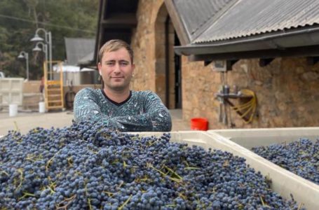 Американське виноробство очима українського винороба Ярослава Андрійця – у свіжому випуску журналу «Напої. Технології та Інновації»